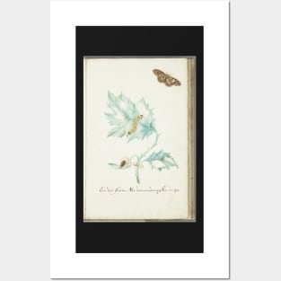 caterpillar and butterfly Posters and Art